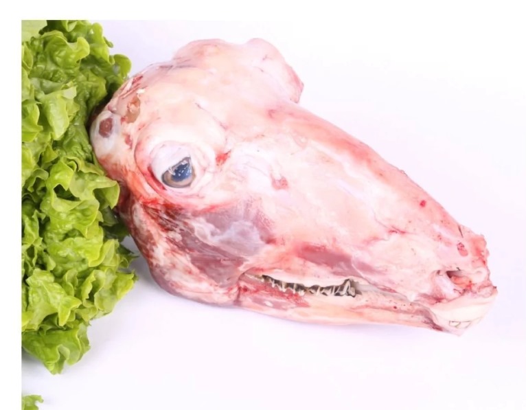 lamb head